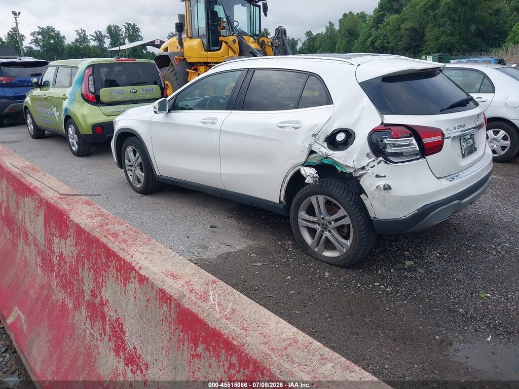 WDCTG4GB2LU024489 2020 MERCEDES-BENZ GLA 250 photo no. 3