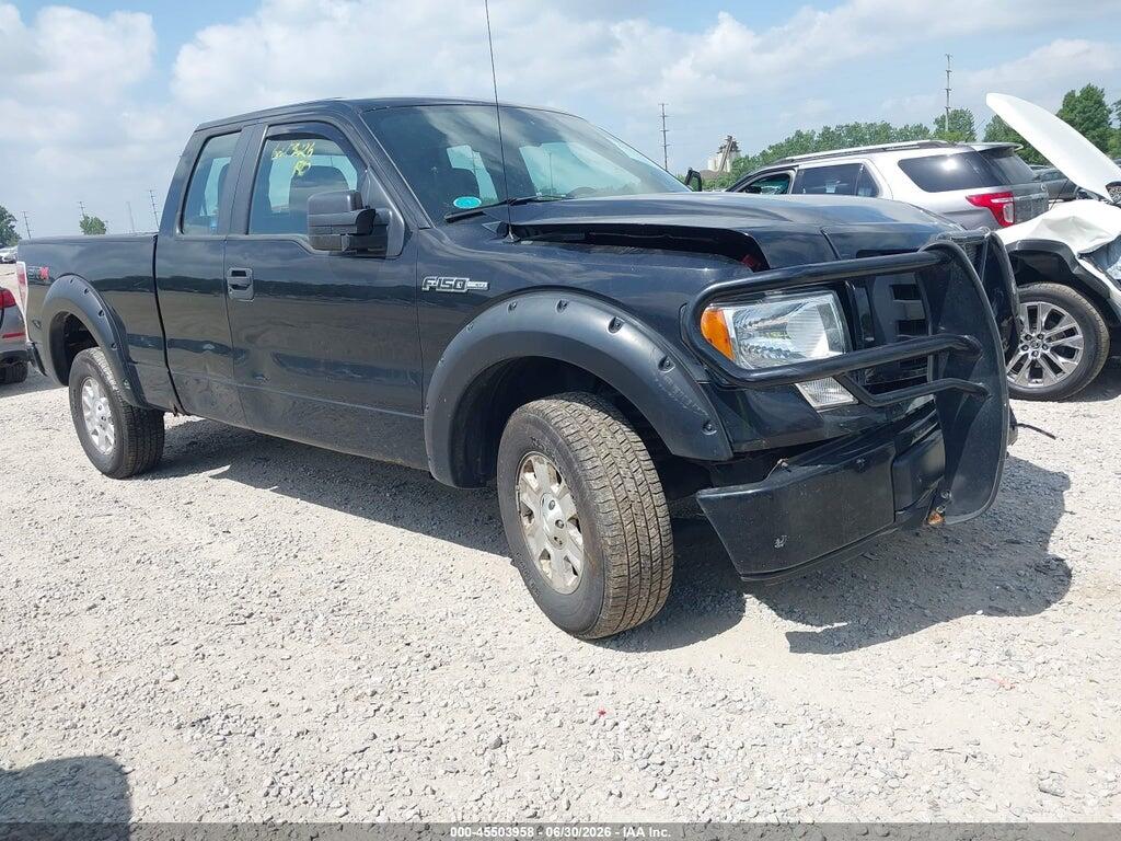 1FTEX1EW0AFD76104 2010 FORD F-150 photo no. 1