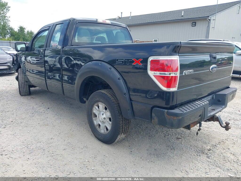 1FTEX1EW0AFD76104 2010 FORD F-150 photo no. 3