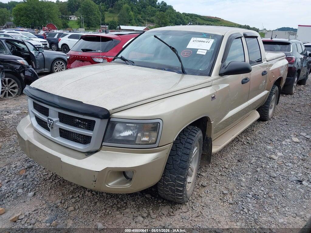 1D7RW3GP0BS619950 2011 RAM DAKOTA photo no. 2