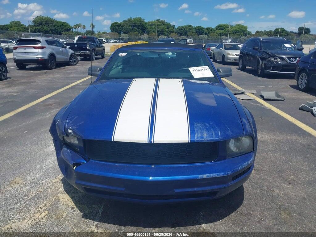 1ZVFT84N955199241 2005 FORD MUSTANG photo no. 12
