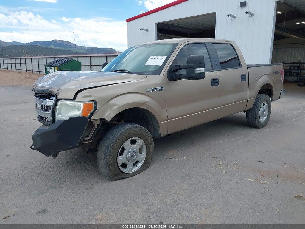 1FTFW1EF6DKE12865 2013 FORD F-150 photo no. 2