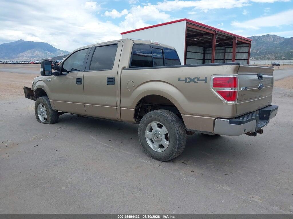 1FTFW1EF6DKE12865 2013 FORD F-150 photo no. 3