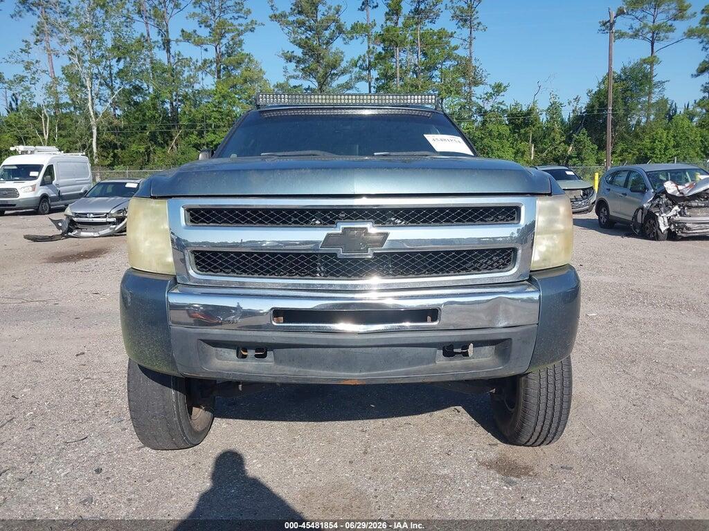 3GCRCSE06AG154602 2010 CHEVROLET SILVERADO 1500 photo no. 12