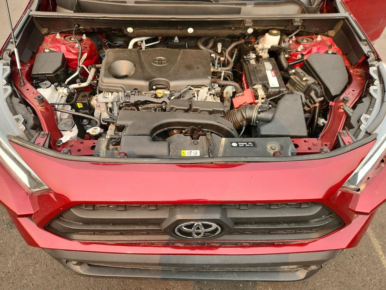 2020 TOYOTA RAV4 XLE — Фото 11 из 12