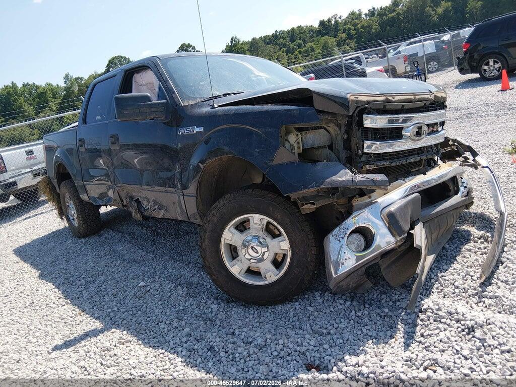 1FTEW1CMXDKF74141 2013 FORD F-150 photo no. 1