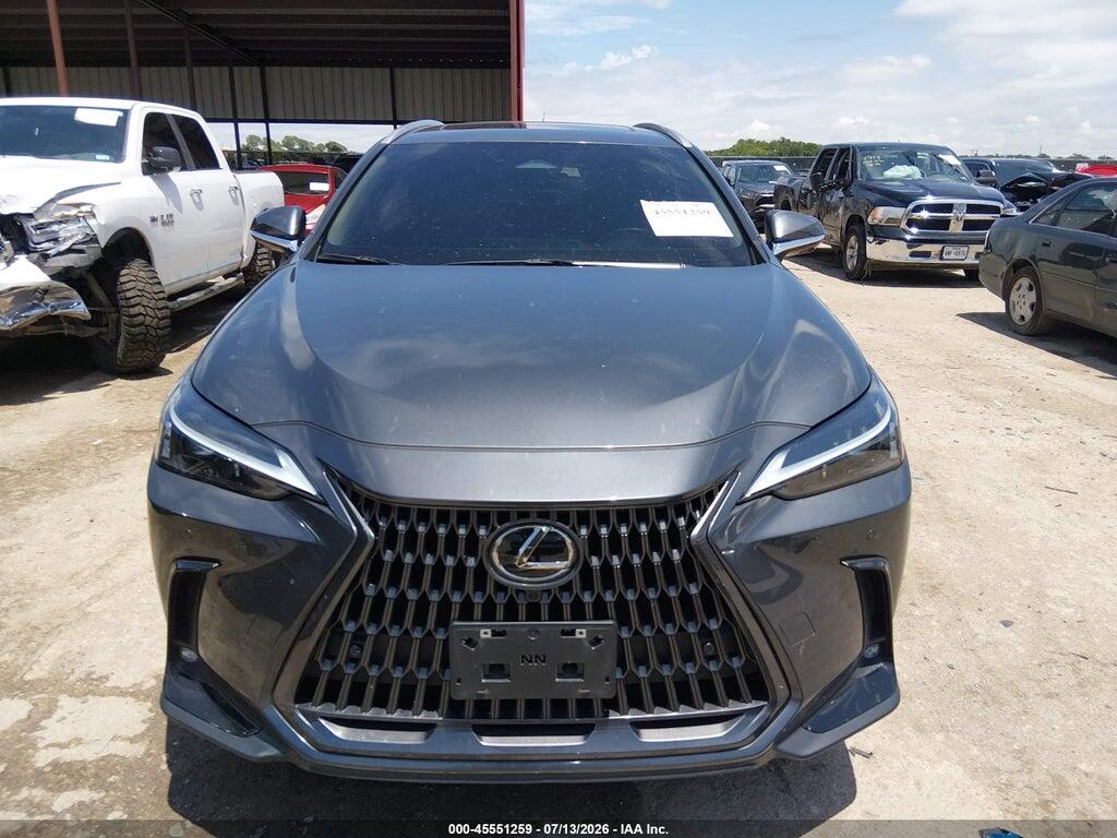 2T2GGCEZXSC085551 2025 LEXUS NX 350 photo no. 12