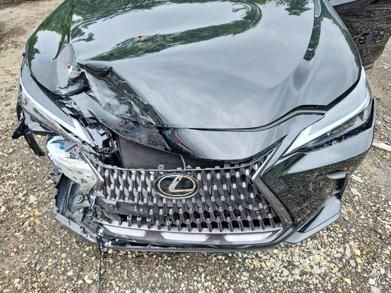 2026 LEXUS NX 350 PREMIUM — Фото 12 из 13
