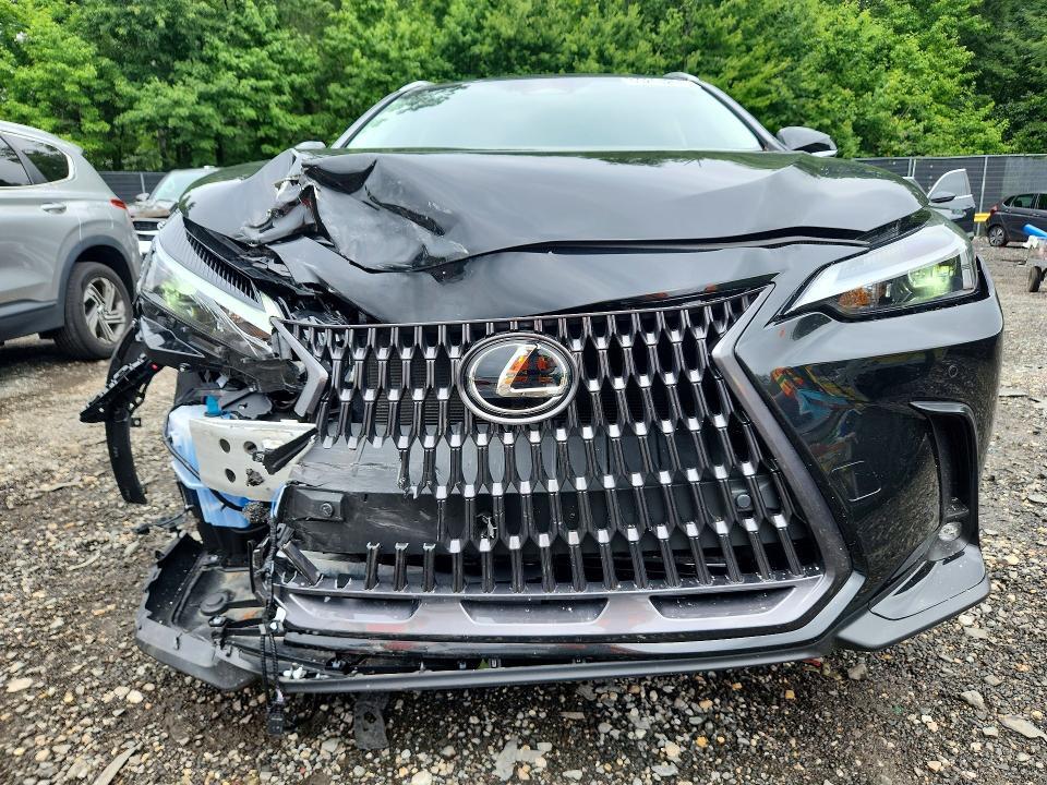 2026 LEXUS NX 350 PREMIUM — Фото 5 из 13