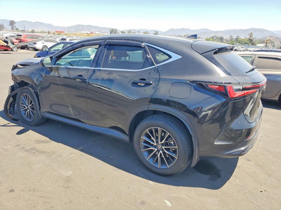 2025 LEXUS NX 350 PREMIUM — Фото 2 из 12