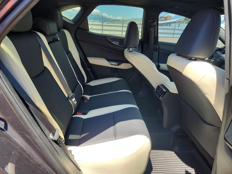 2023 LEXUS NX 350 — Фото 11 из 13