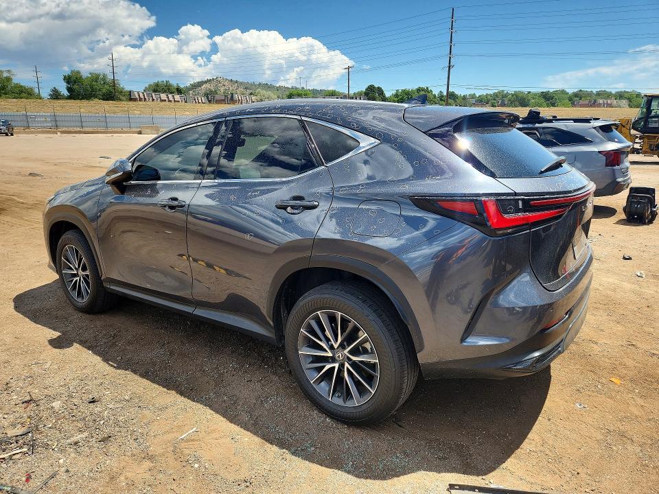 2023 LEXUS NX 350 — Фото 2 из 13
