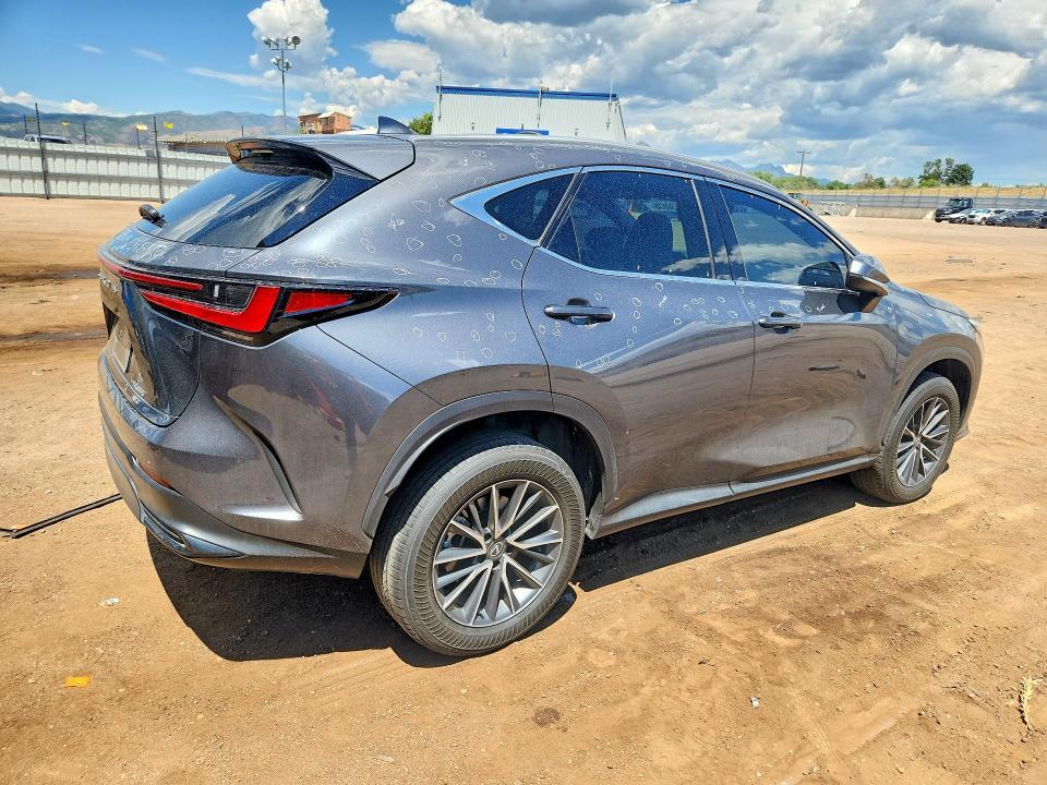 2023 LEXUS NX 350 — Фото 3 из 13