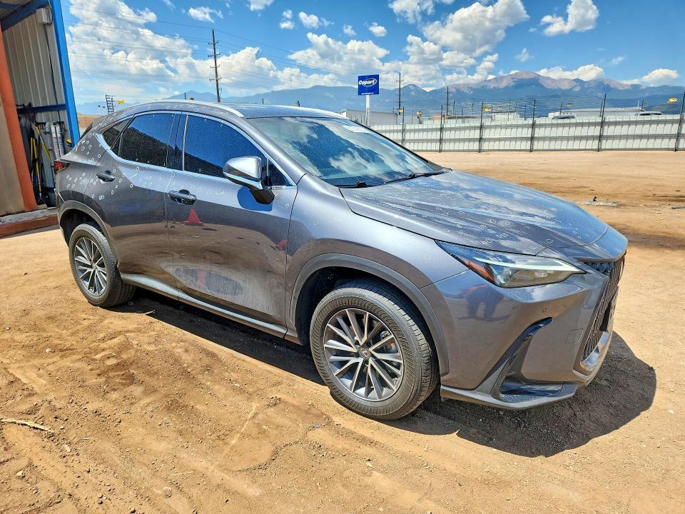 2023 LEXUS NX 350 — Фото 4 из 13