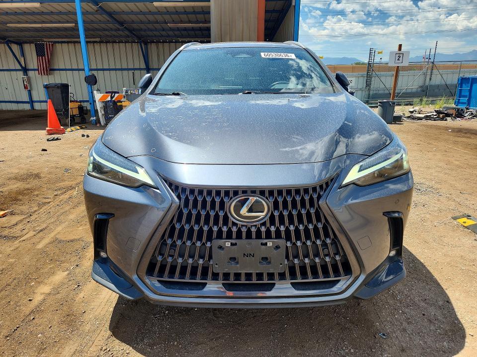 2023 LEXUS NX 350 — Фото 5 из 13