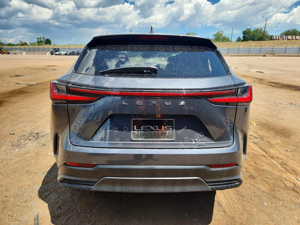 2023 LEXUS NX 350 — Фото 6 из 13