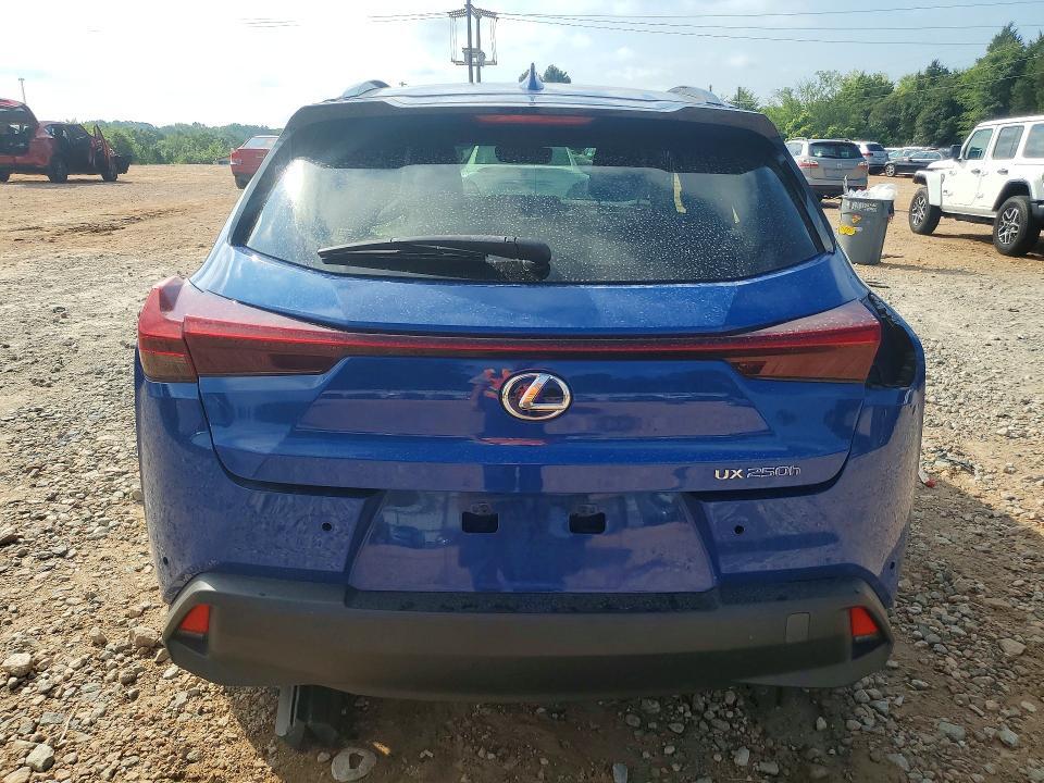 2021 LEXUS UX 250H — Фото 6 из 14
