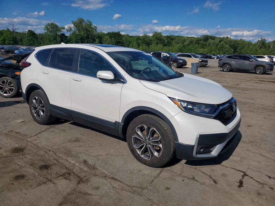 2020 HONDA CR-V EXL — Фото 4 из 14