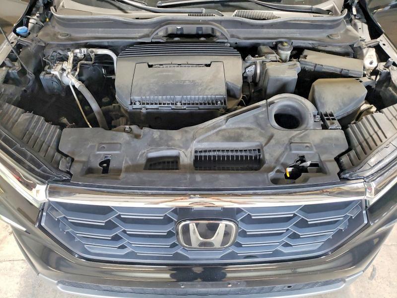 2025 HONDA PILOT EXL — Фото 12 из 13