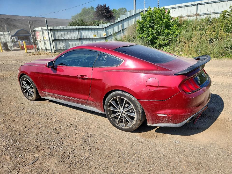 1FA6P8THXF5318618 2015 FORD MUSTANG photo no. 2