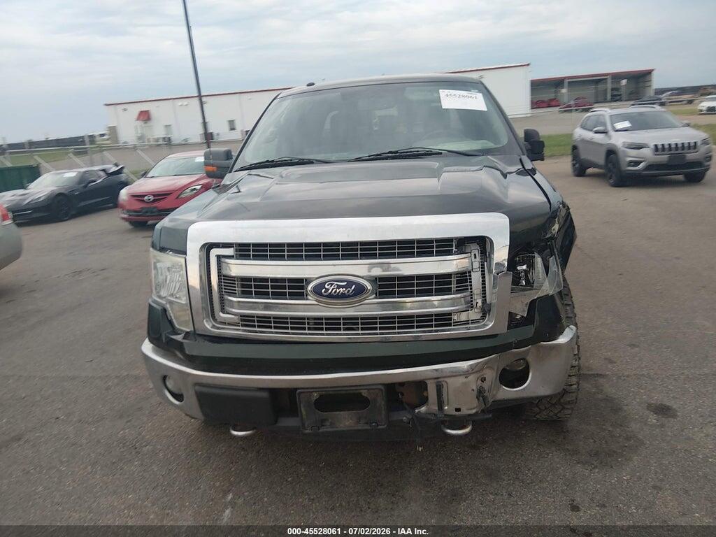 1FTFW1EF6EKD79190 2014 FORD F-150 photo no. 12