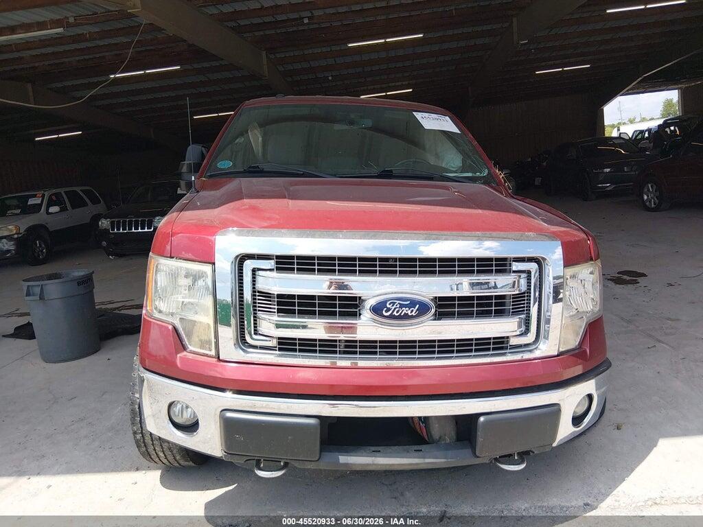 1FTFW1EF4DFD70219 2013 FORD F-150 photo no. 12