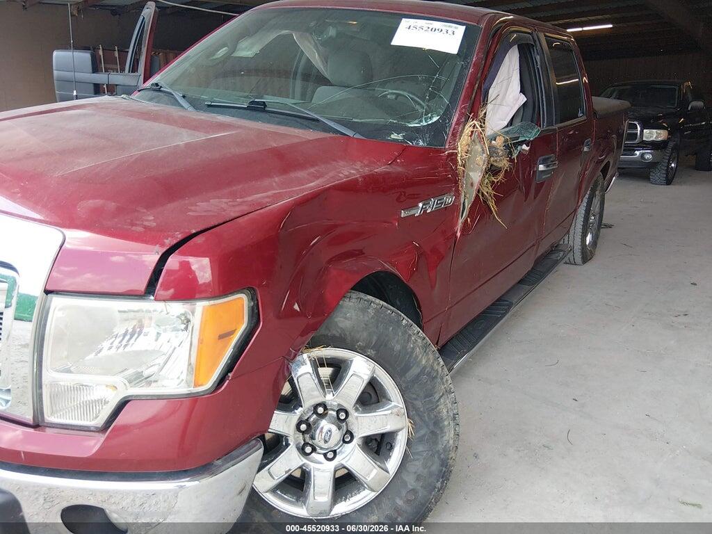 1FTFW1EF4DFD70219 2013 FORD F-150 photo no. 6