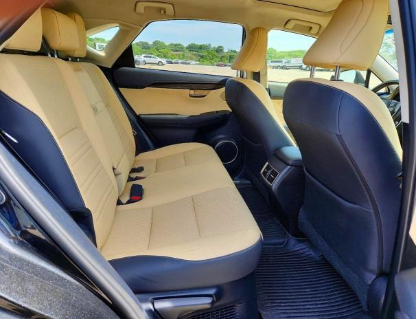 2019 LEXUS NX 300H — Фото 11 из 13