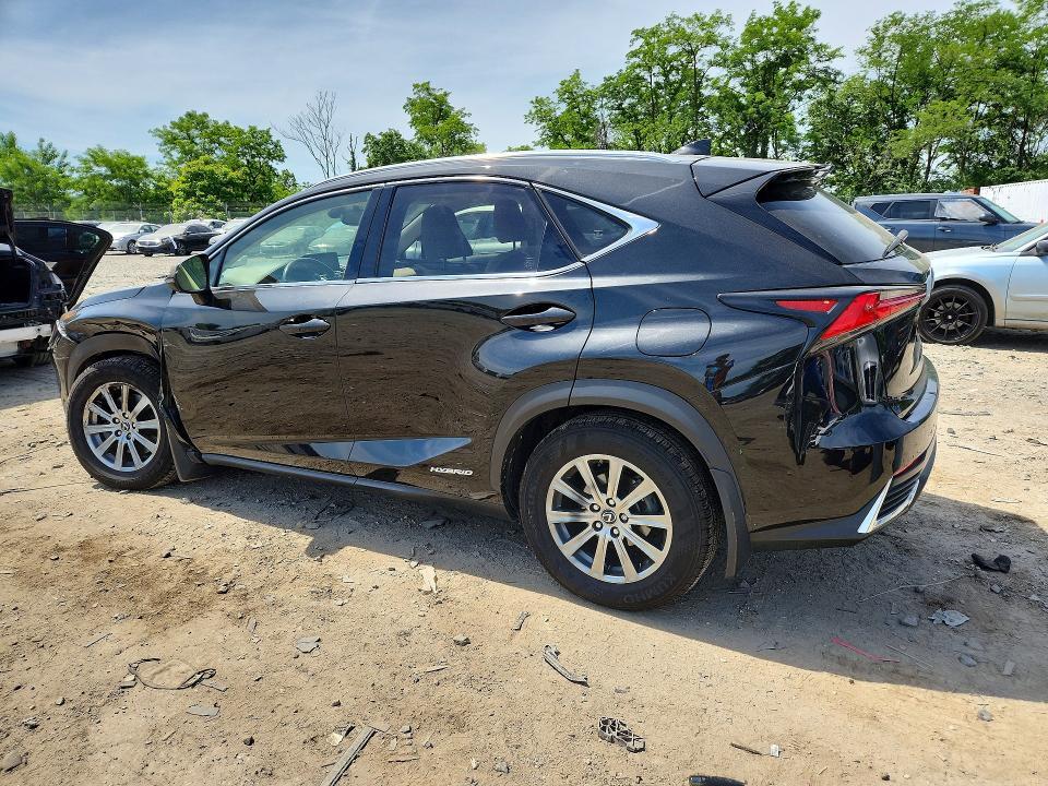 2019 LEXUS NX 300H — Фото 2 из 13