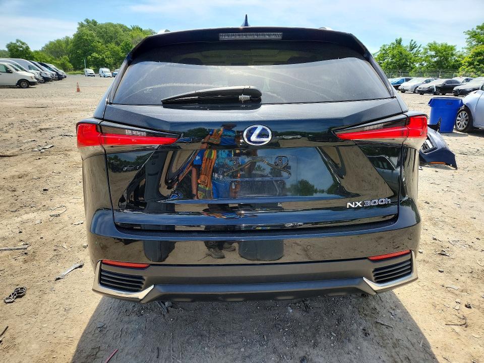 2019 LEXUS NX 300H — Фото 6 из 13