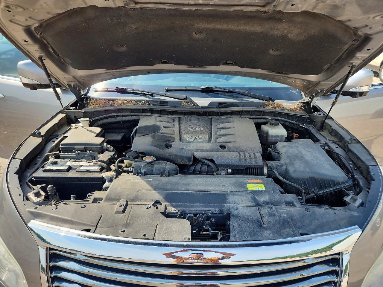 2013 INFINITI QX56 BASE — Фото 12 из 13
