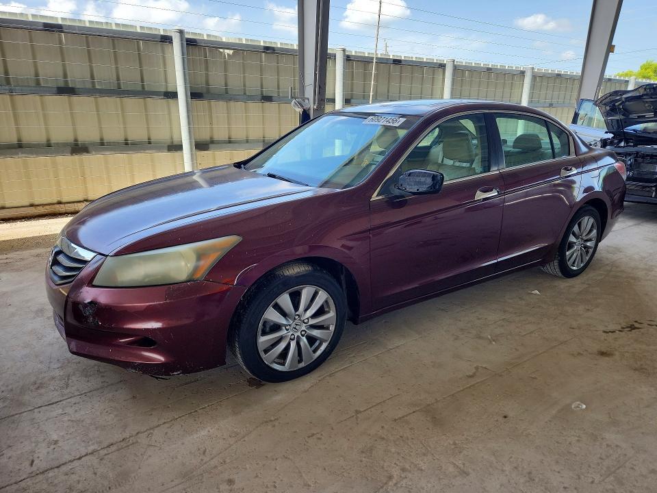 2011 HONDA ACCORD EXL