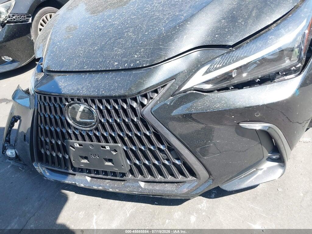 2024 LEXUS NX 250 PREMIUM — Фото 13 из 16