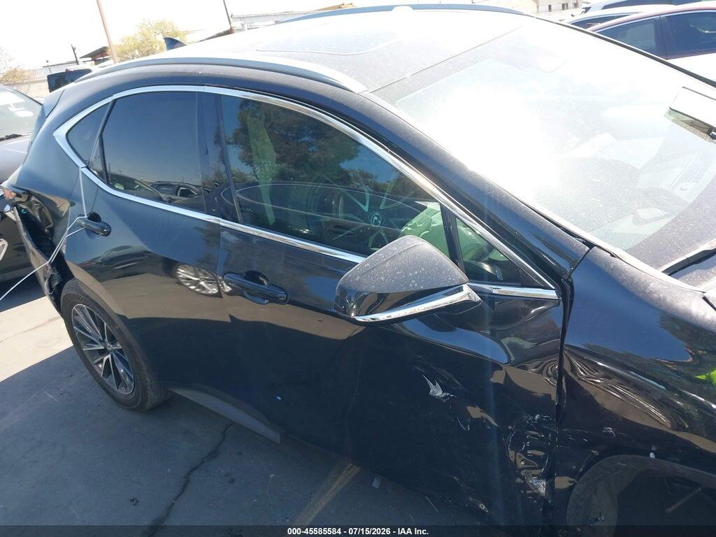 2024 LEXUS NX 250 PREMIUM — Фото 14 из 16