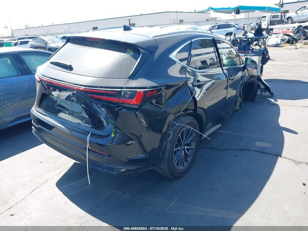 2T2GDCAZ9RC008744 2024 LEXUS NX 250 photo no. 4
