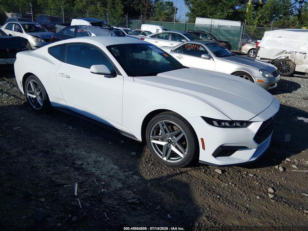 1FA6P8TH6R5113446 2024 FORD MUSTANG photo no. 1
