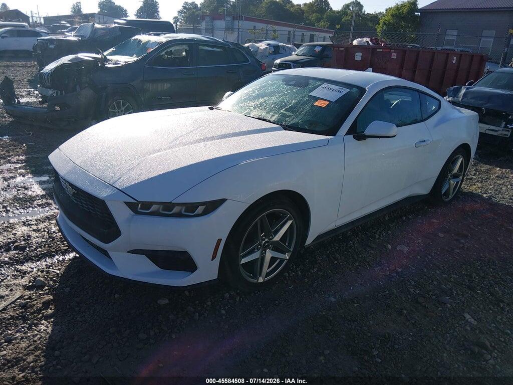 1FA6P8TH6R5113446 2024 FORD MUSTANG photo no. 2