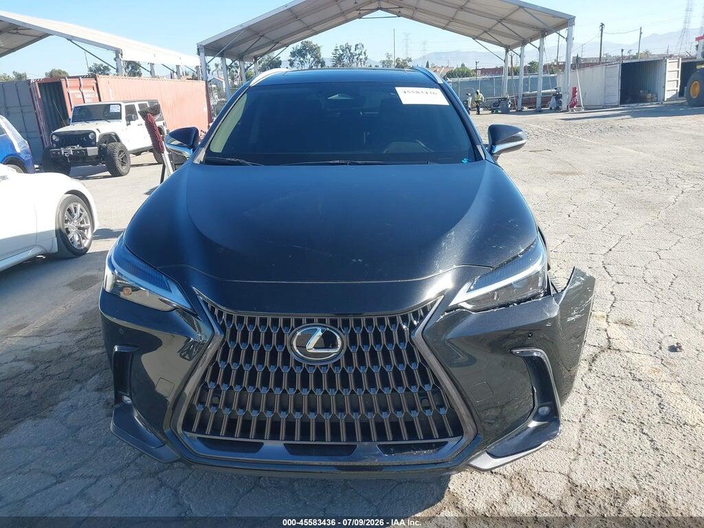 2T2GDCAZ5SC016491 2025 LEXUS NX 250 photo no. 12