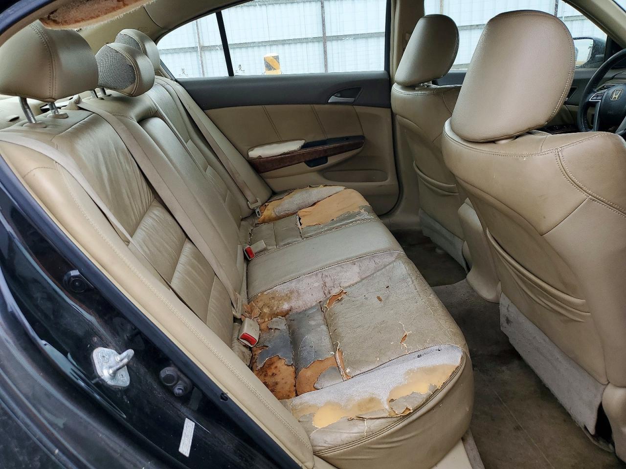 1HGCP36848A060281 2008 HONDA ACCORD photo no. 10