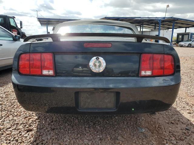 1ZVFT84N065125479 2006 FORD MUSTANG photo no. 6