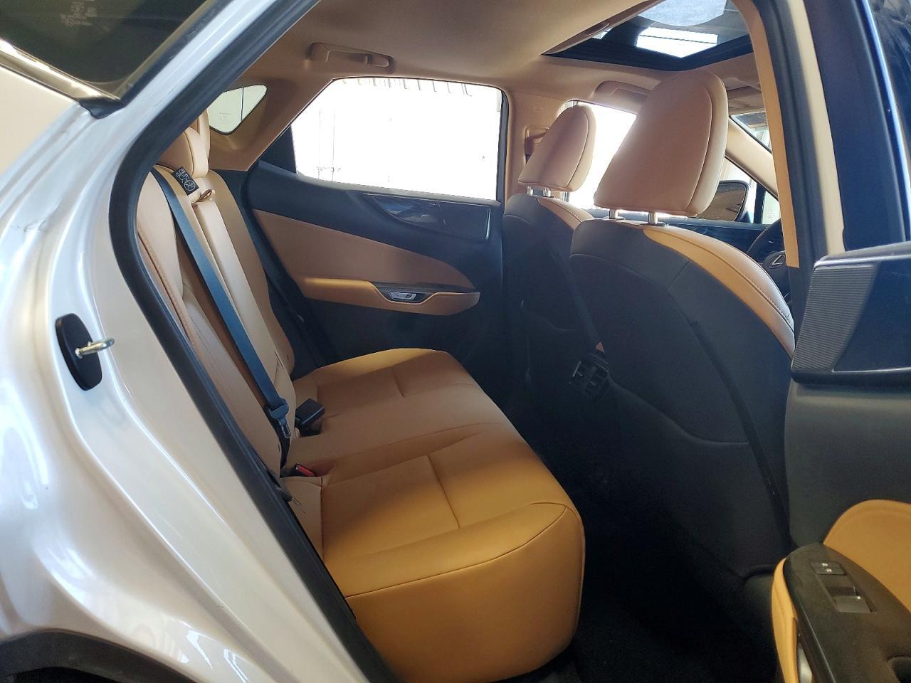 2024 LEXUS NX 350 PREMIUM — Фото 11 из 14