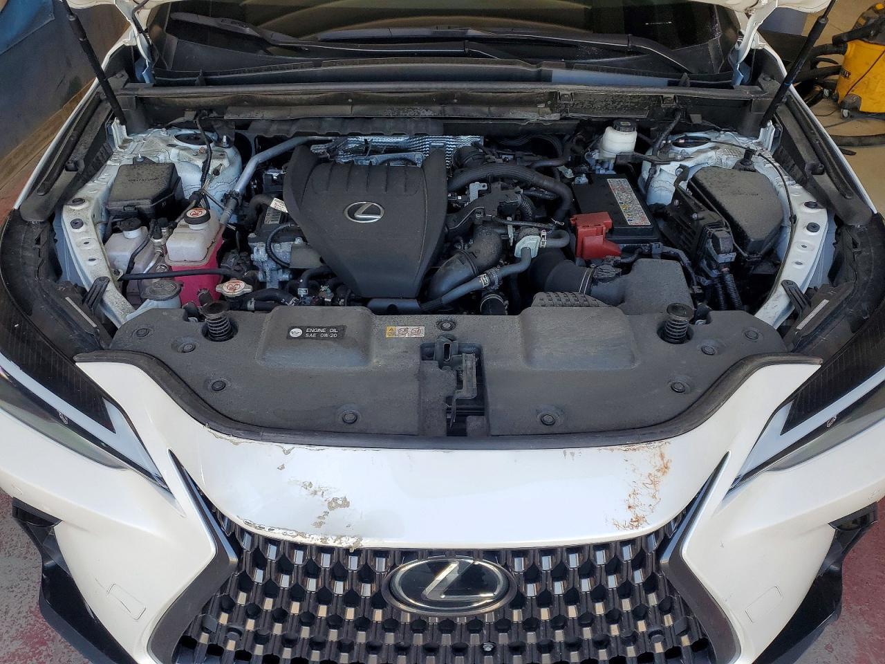 2024 LEXUS NX 350 PREMIUM — Фото 12 из 14