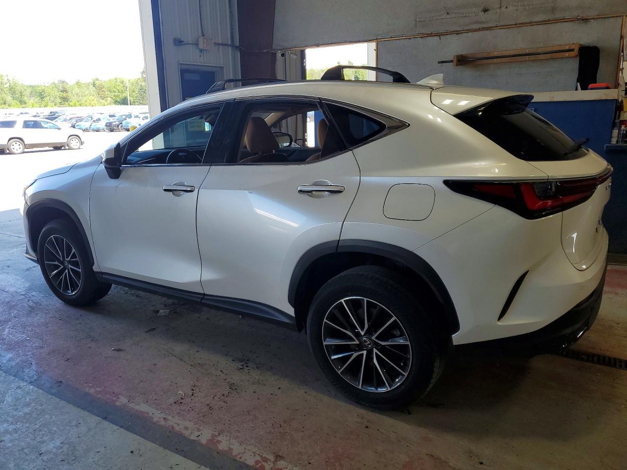 2024 LEXUS NX 350 PREMIUM — Фото 2 из 14