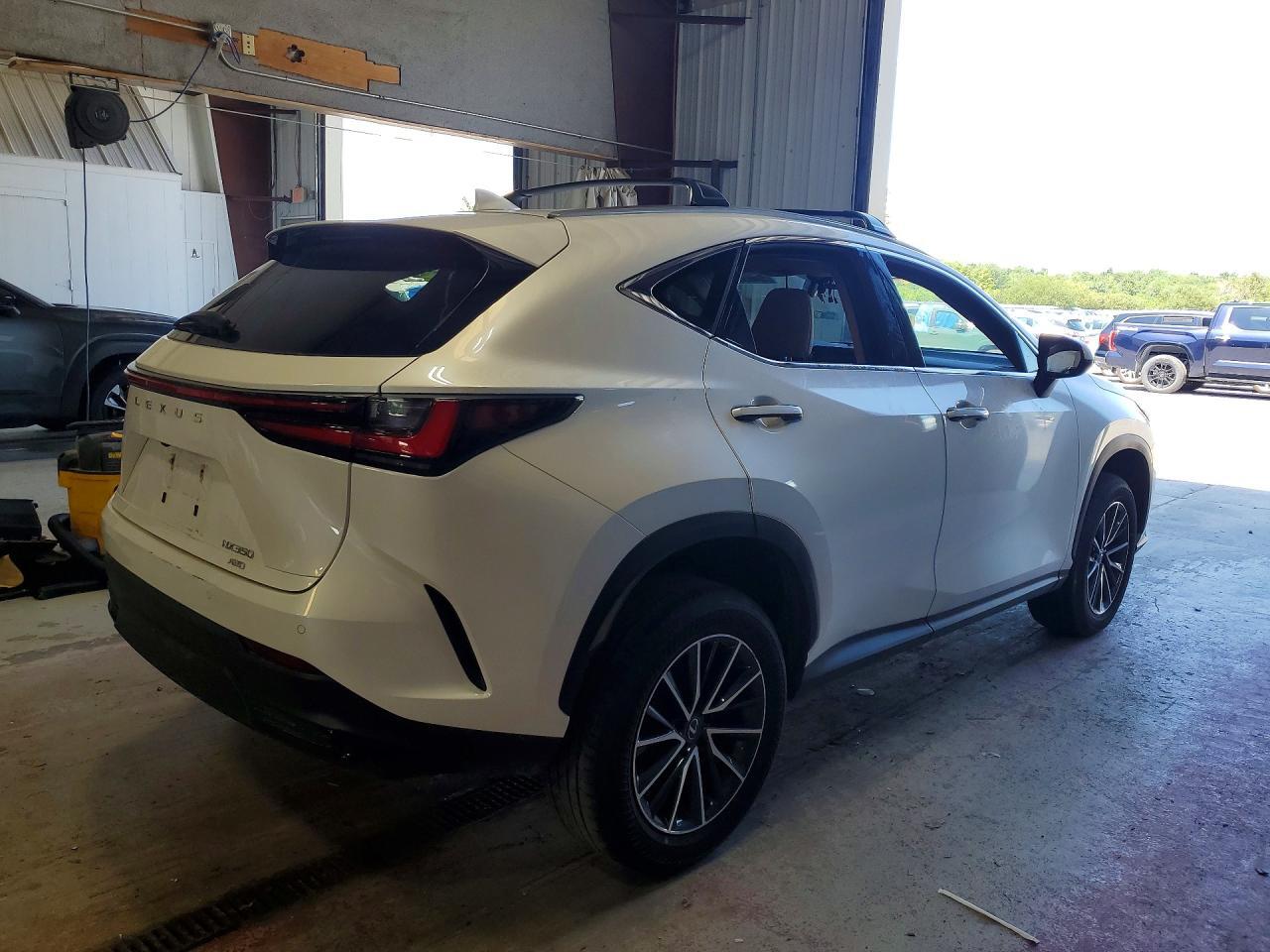 2024 LEXUS NX 350 PREMIUM — Фото 3 из 14