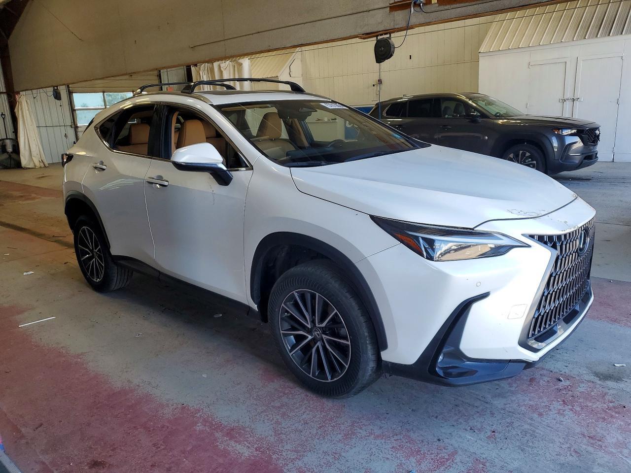2024 LEXUS NX 350 PREMIUM — Фото 4 из 14