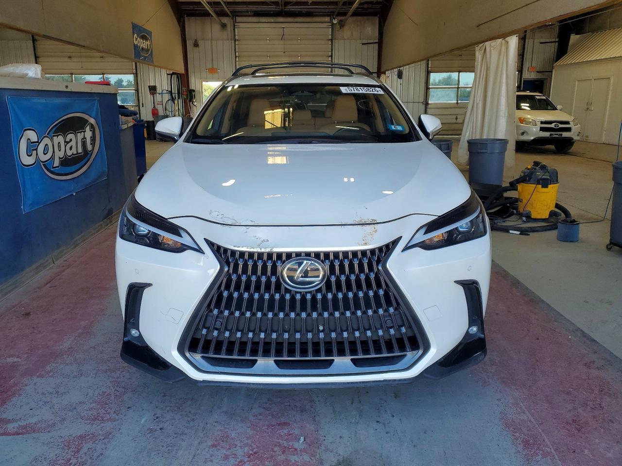 2024 LEXUS NX 350 PREMIUM — Фото 5 из 14