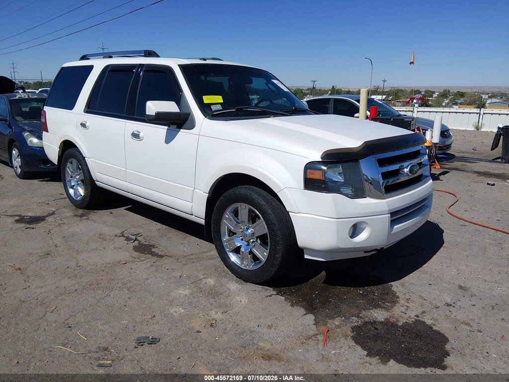 1FMJU2A52AEA17607 2010 FORD EXPEDITION photo no. 1