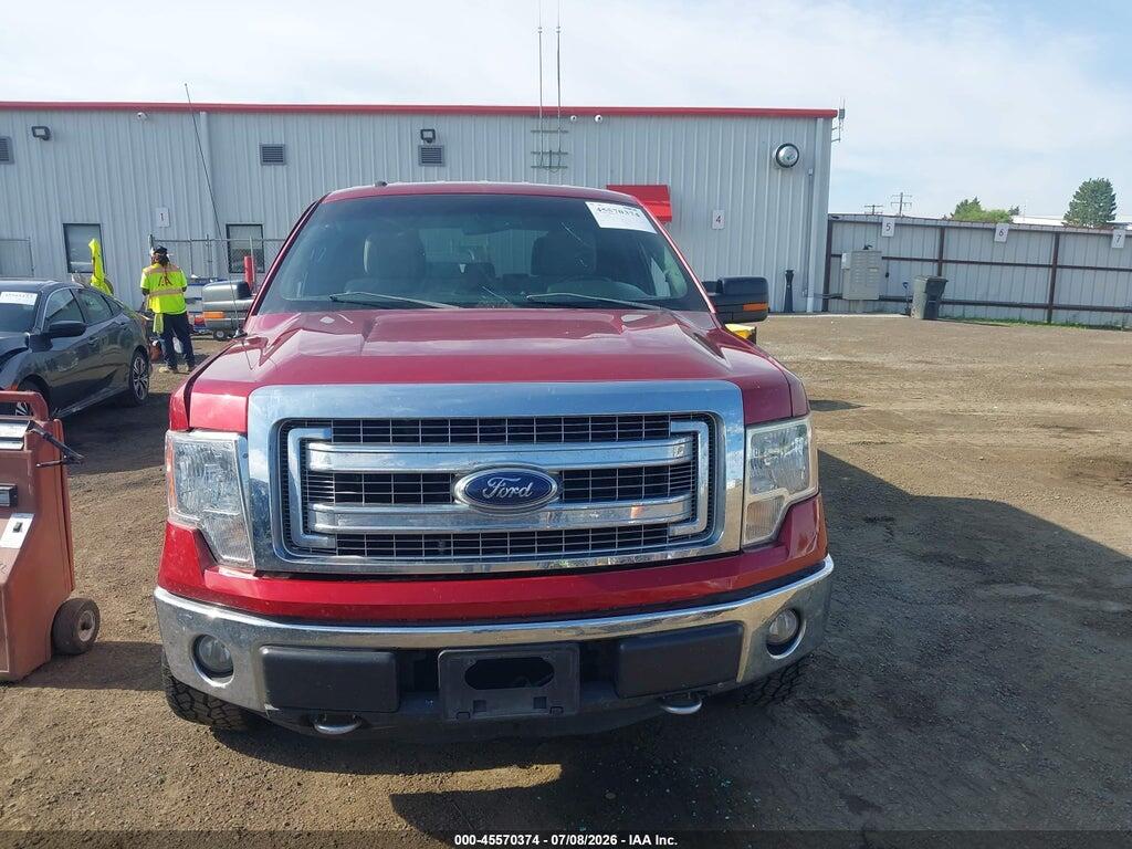 1FTFW1EF5DFC00449 2013 FORD F-150 photo no. 12
