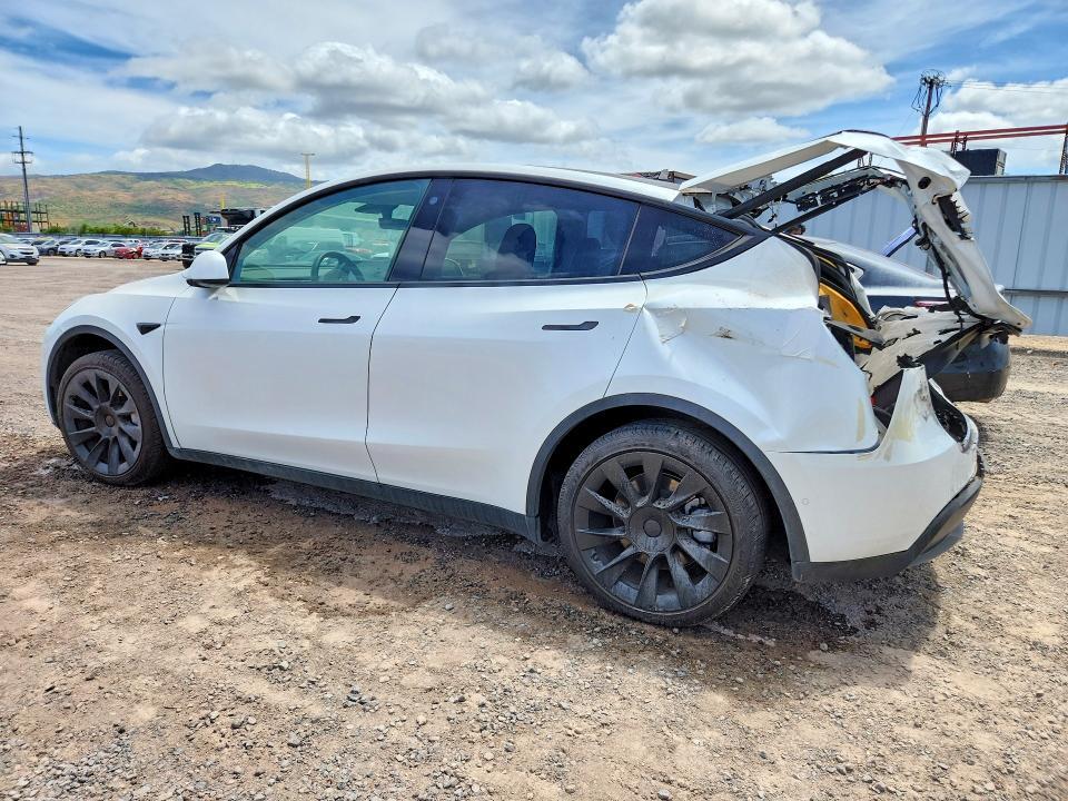 2021 TESLA MODEL Y — Фото 2 из 13