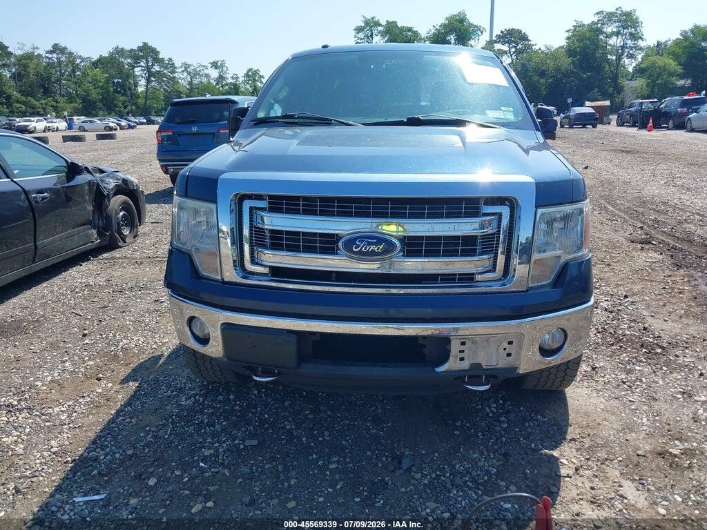 1FTFW1EFXDFD14902 2013 FORD F-150 photo no. 12